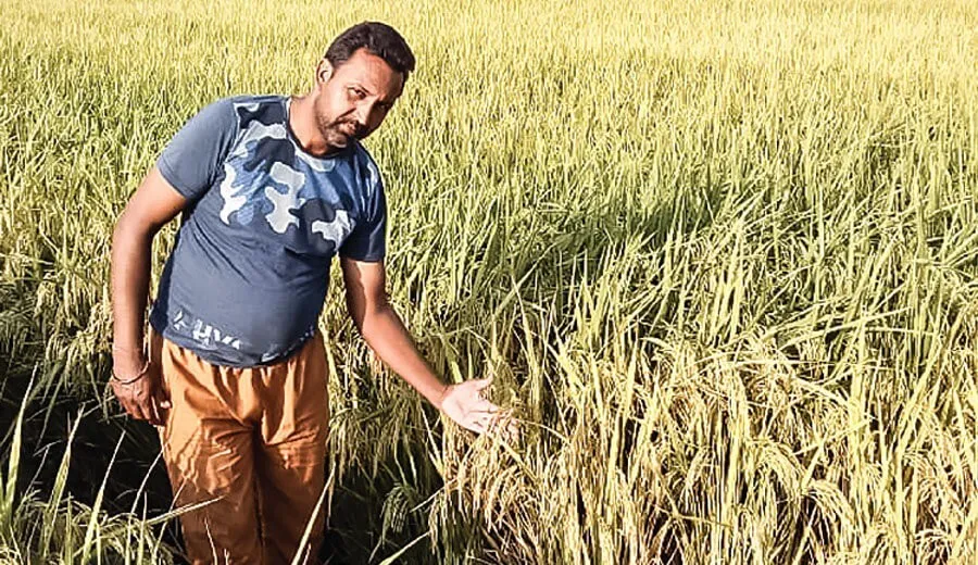पराली को जमीन में नष्ट कर मुनाफा कमा रहा किसान जसप्रीत