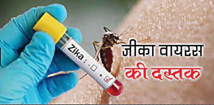 जीका का कहर