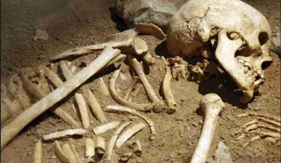 श्रीलंका में एक कब्र से निकले 230 कंकाल
