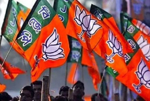 भाजपा ने बनाये मतगणना प्रभारी