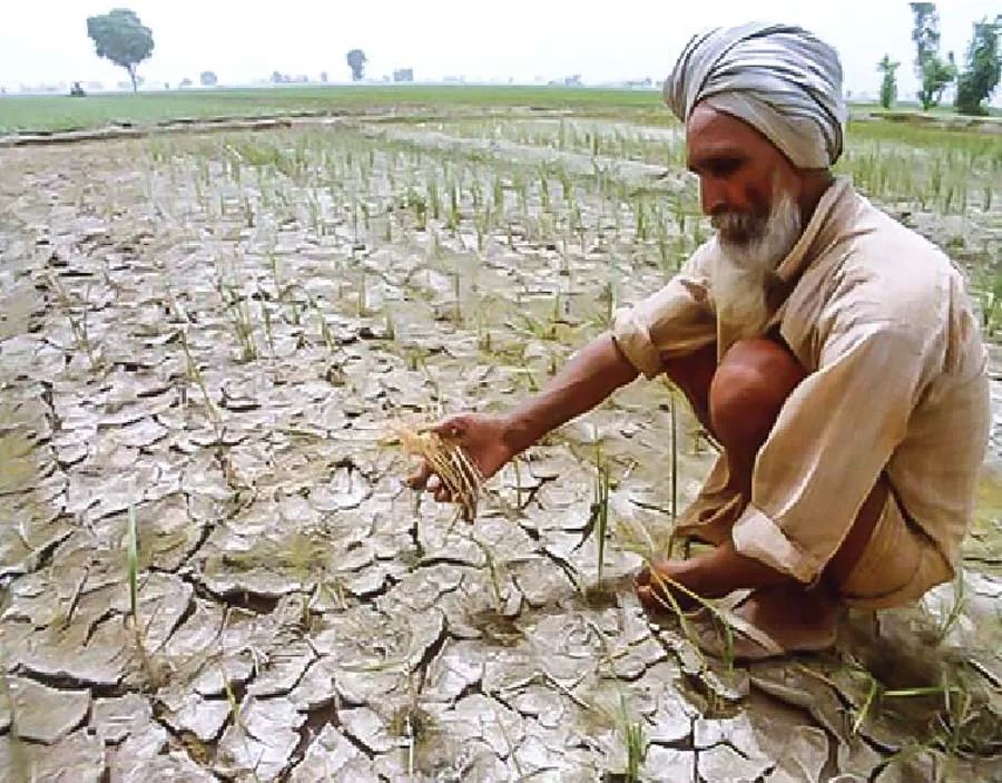 किसानों का फैसला, अब खुद लड़ेंगे विधानसभा चुनाव