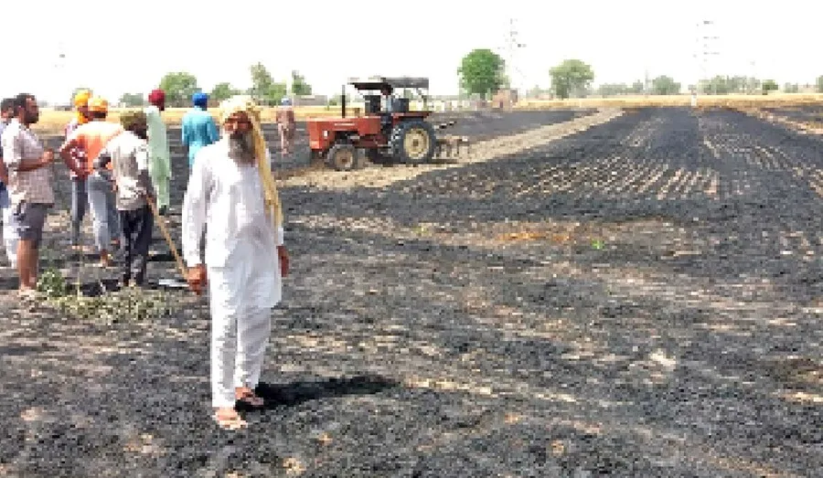 हर साल आग से राख हो रहे किसानों के सपने