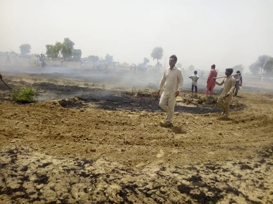 17 बीघा खड़ी गेंहू आगजनी की लपेट में बनी राख