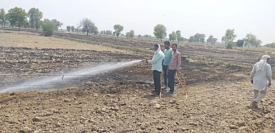 उठाव के अभाव में तीन लाख का गेंहू स्वाह