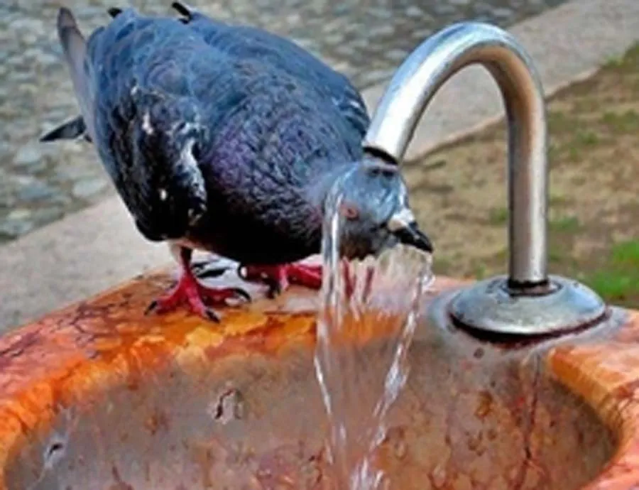 आसमान से बरसे अंगारे, पैरों तले सुलगती रही धरा