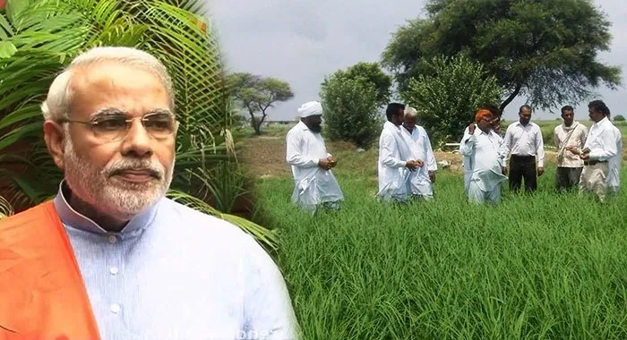 कैबिनेट बैठक: किसानों को मोदी सरकार का तोहफा; धान समेत कई फसलों की बढ़ी एमएसपी