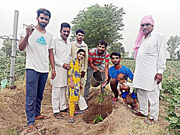 डेरा सच्चा सौदा ने पर्यावरण सुरक्षा का उठाया है बीड़ा