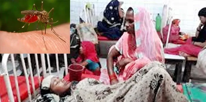 असम में जापानी इन्सेफलाइटिस का कहर, 50 लोगों की मौत