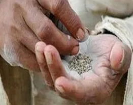 युवाओं सावधान! तंबाकू चबाने का शौक कहीं छीन न ले जिन्दगी