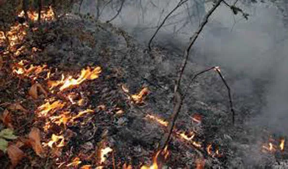 रूस के जंगलों में लगी आग पर पाया काबू