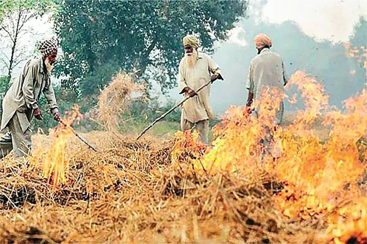 पराली मामला: किसानों को बदलना होगा तरीका