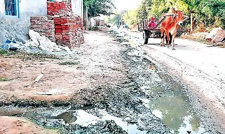 बठिंडा : नरक भरी जिंदगी जीने के लिए मजबूर पक्का कलां के निवासी