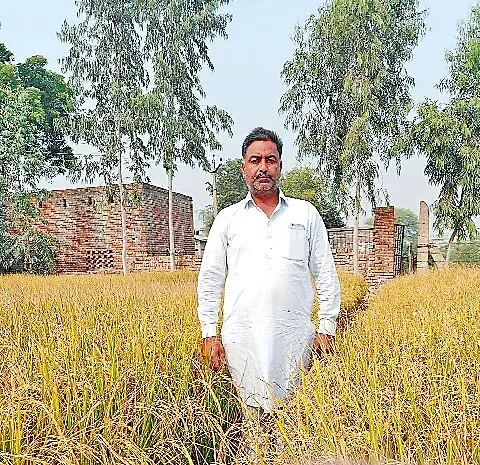 बिना पराली जलाए खेती कर रहा प्रगतिशील किसान हरमीत सिंह