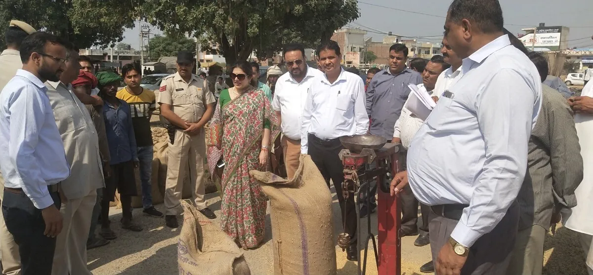 आनलाईन प्रणाली को किया चैक, धान की नमी को जांचा
