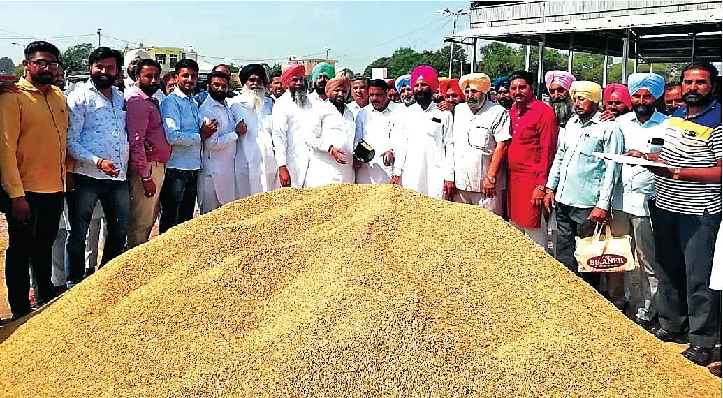 फिरोजपुर : विधायक ने शुरू करवाई धान की सरकारी खरीद