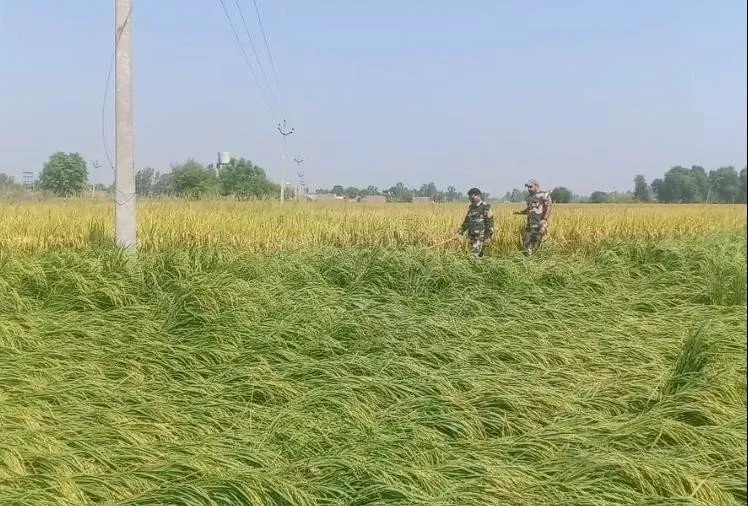 फिरोजपुर : हुसैनीवाला बॉर्डर पर दिखा पाकिस्तानी ड्रोन, सर्च आप्रेशन जारी