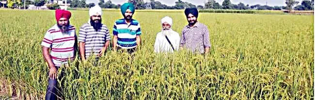 ‘फसलों के वेस्टेज को आग लगाने की बजाय खेतों में मिलाएं’
