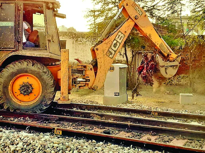 संगरूर : मालगाड़ी के नीचे आने से तीन सांडों की मौत, बड़ा हादसा टला