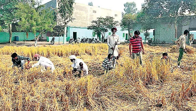 गुरूहरसहाए : डेरा श्रद्धालुओं ने पर्यावरण को बचाने का दिया संदेश