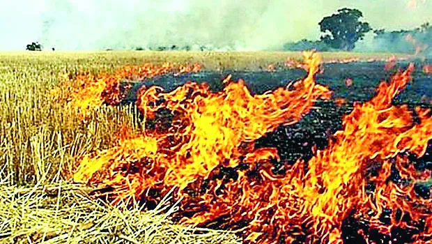संगरूर : 43 किसानों पर एफआईआर, 26 लाख जुर्माना