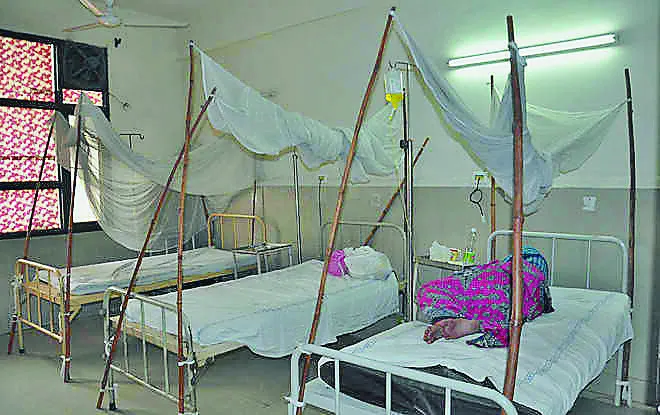 अमृतसर में डेंगू बुखार से अब तक छह लोगों की मौत