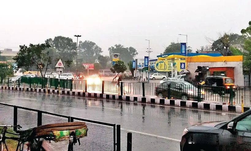 संगरूर : बरसात से बढ़ी ठंडक, गेहूं के लिए फायदेमंद