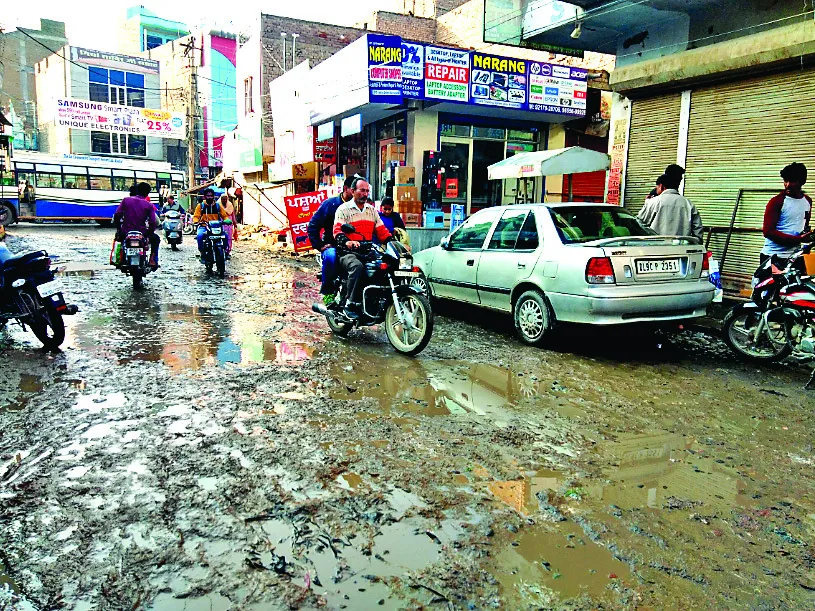अबोहर : बारिश से नरमे को नुकसान, किन्नू को लाभ