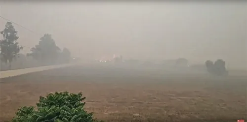 प्रदूषण से जहरीली गैस के चैम्बर बनते शहर