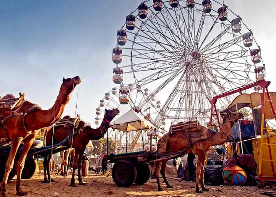 पुष्कर मेले में प्रसिद्ध गायक कैलाश खेर बिखेरेंगे सुरों का जलवा