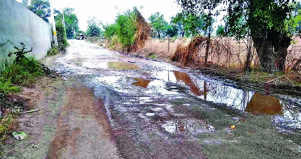 बठिंडा : पेयजल व सीवरेज समस्या से जूझ रहे रामां मंडी के बाशिन्दे