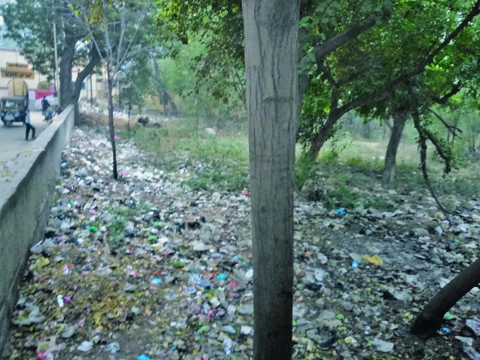 बठिंडा : लोगों ने पार्क को बनाया कूड़े का डंप
