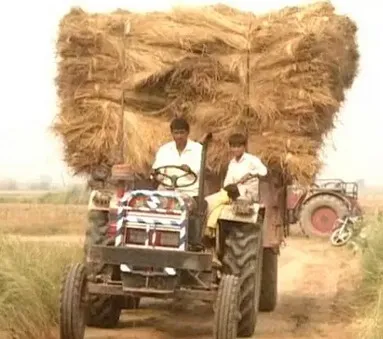 हरियाणा सरकार किसान की पराली खरीदेगी: उप मुख्यमंत्री