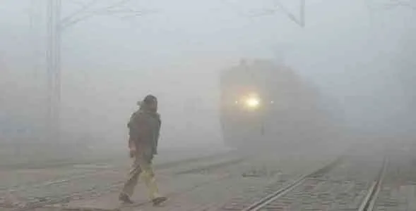 कोहरे की चादर में लिपटा उत्तर भारत