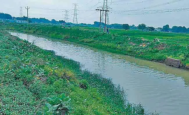पटियाला : अरनौली रजवाहे को 46 करोड़ की लागत से किया जाएगा पक्का : परनीत कौर