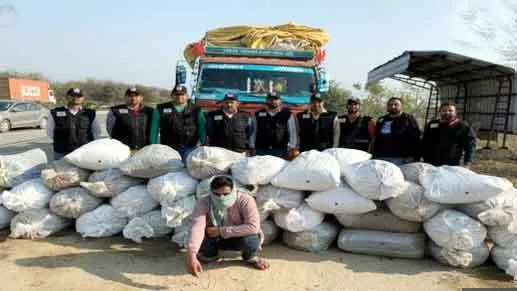 हरियाणा पुलिस की एसटीएफ ने केंटर में पकड़ी एक टन गांजापत्ती