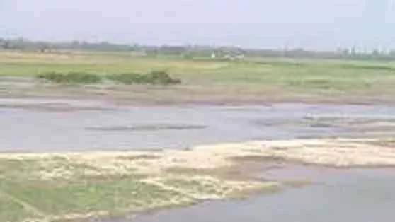 भूजल स्तर गिरने से हरियाणा ड्राईजोन में