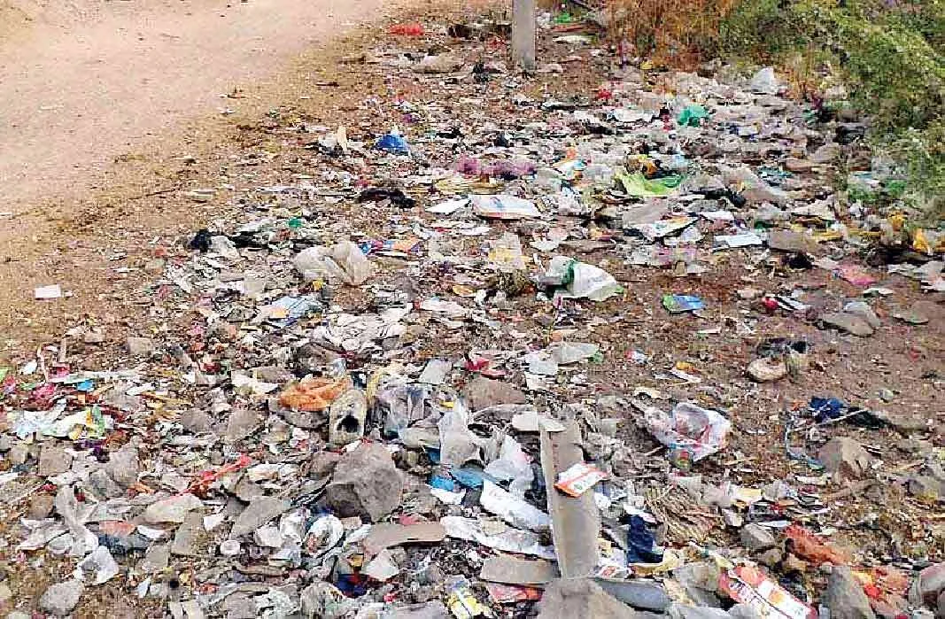 बठिंडा : अवैध कॉलोनियां बनी गन्दगी के अड्डे