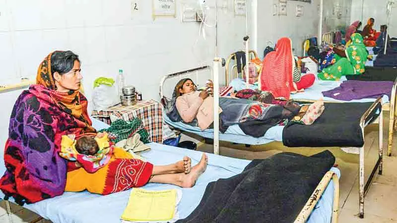 यह केवल एक जान है बेवकूफ!