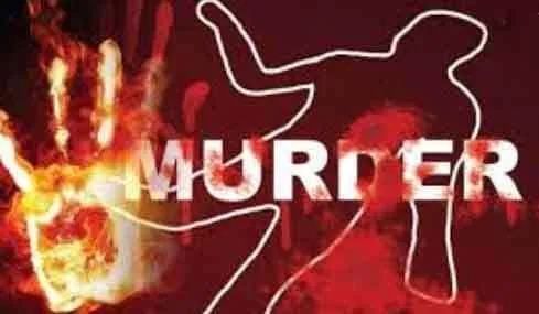 Murder : सिर पर चोट मारकर महिला की हत्या