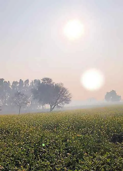 तापमान में हुई बढ़ोतरी ठंड से मिली राहत
