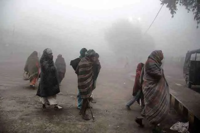 घने कोहरे से सड़क यातायात प्रभावित