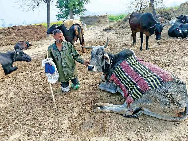 पटरी पर कटे पैर, फिर भी ट्रैक पर दौड़ाई जिदंगी