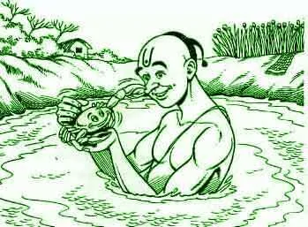 सुनहरा केकड़ा