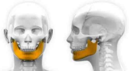 3डी प्रिटिंग टेक्नॉलॉजी की मदद से कैंसर ग्रस्त रहे मरीज का जबड़ा फिर लगा