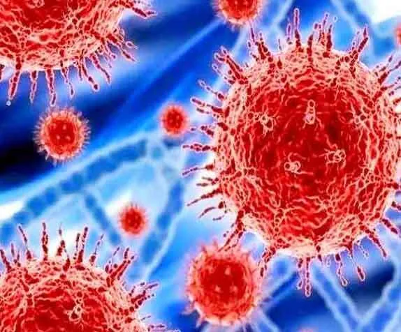 पाकिस्तान मे कोरोना से 1093 लोग संक्रमित, आठ की मौत