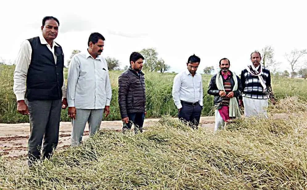 Inspection: ओलावृष्टि से प्रभावित फसलों का किया निरीक्षण