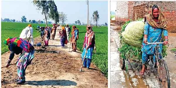 Women’s Day: अपने दम पर परिवार का पेट पाल रही गांव माहू बेगू की ‘महिलाएं’