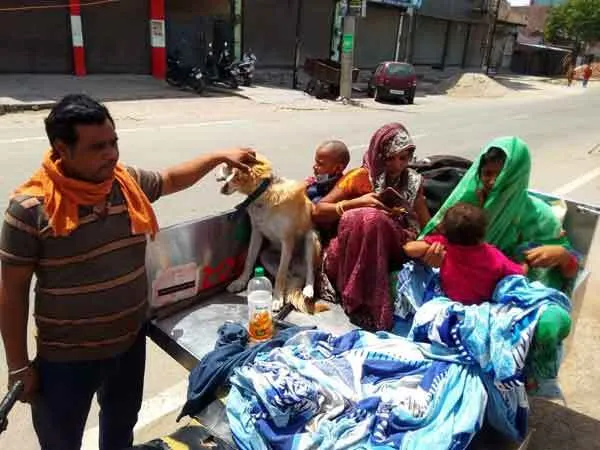 जुगाड़ में भिवानी से झज्जर पहुंच गया प्रवासी परिवार