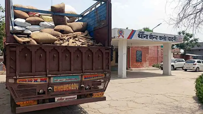 हरियाणा की मंडियों में बिक रही राजस्थान की सरसों