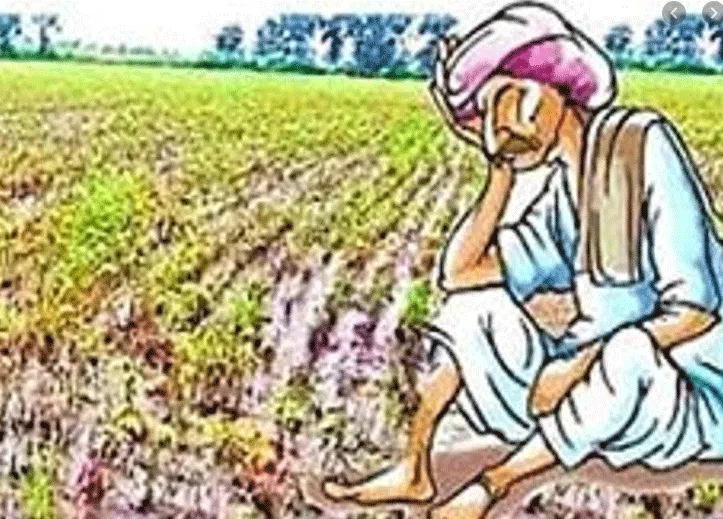 किसानों पर दोहरी मार : फसल के पैसे भी नहीं मिले, रोजाना झेल रहे 50 लाख के ब्याज का नुकसान
